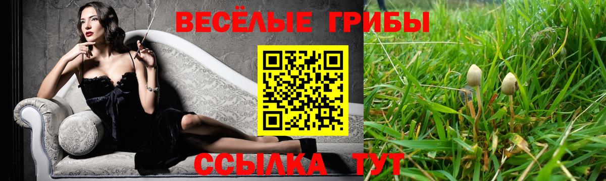 Псилоцибиновые грибы Psilocybe  Псилоцибиновые грибы ЛСД  Гагарин  Вход с VPN 
